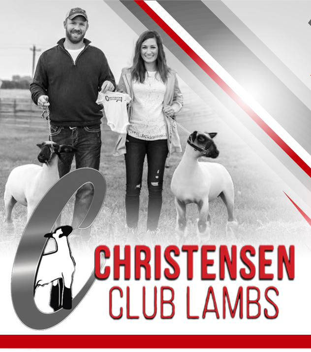 Christensen Club Lambs