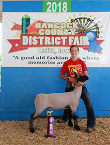 Christensen Club Lambs Winners