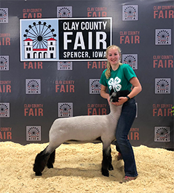 Christensen Club Lambs Winners