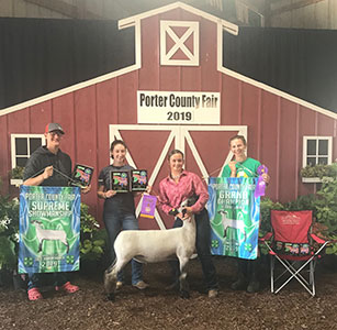 Christensen Club Lambs Winners