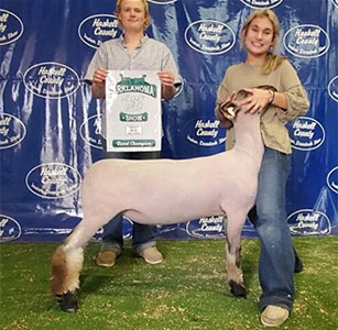Christensen Club Lambs Winners