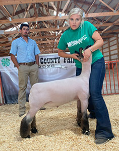 Christensen Club Lambs Winners