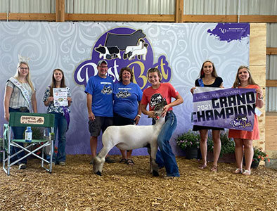 Christensen Club Lambs Winners