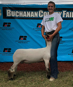 Christensen Club Lambs Winners