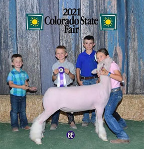 Christensen Club Lambs Winners