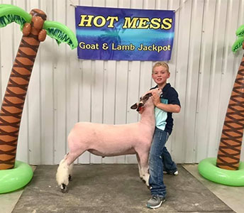 Christensen Club Lambs Winners