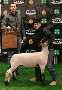 Christensen Club Lambs Winners