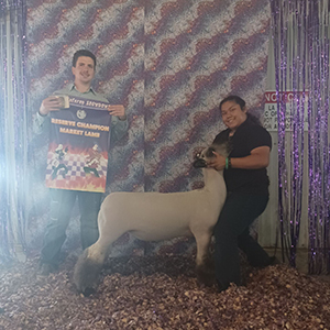 Christensen Club Lambs Winners
