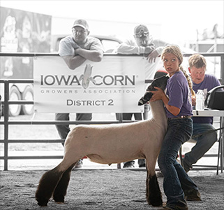 Christensen Club Lambs Winners