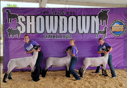 Christensen Club Lambs Winners