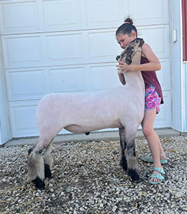 Christensen Club Lambs Winners