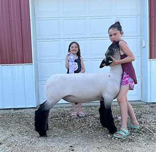 Christensen Club Lambs Winners