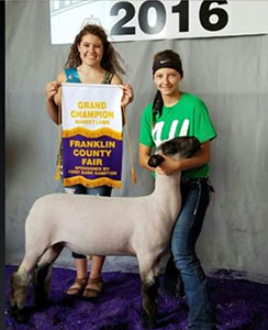 Christensen Club Lambs Winners