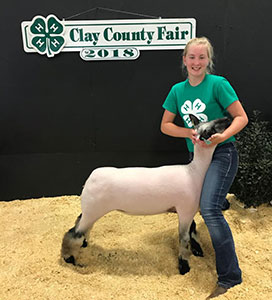 Christensen Club Lambs Winners