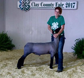 Christensen Club Lambs Winners
