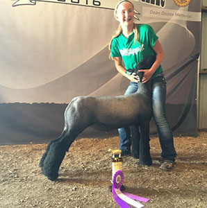 Christensen Club Lambs Winners