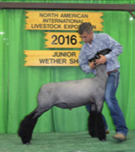 Christensen Club Lambs Winners